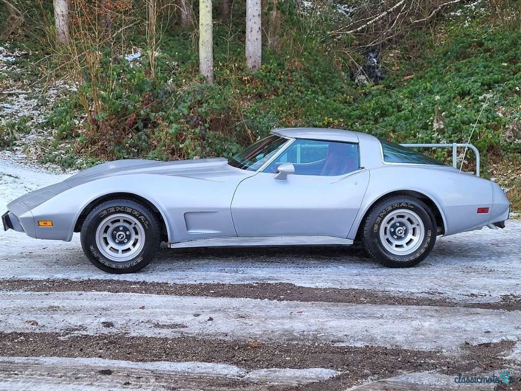 1979' Chevrolet Corvette photo #5