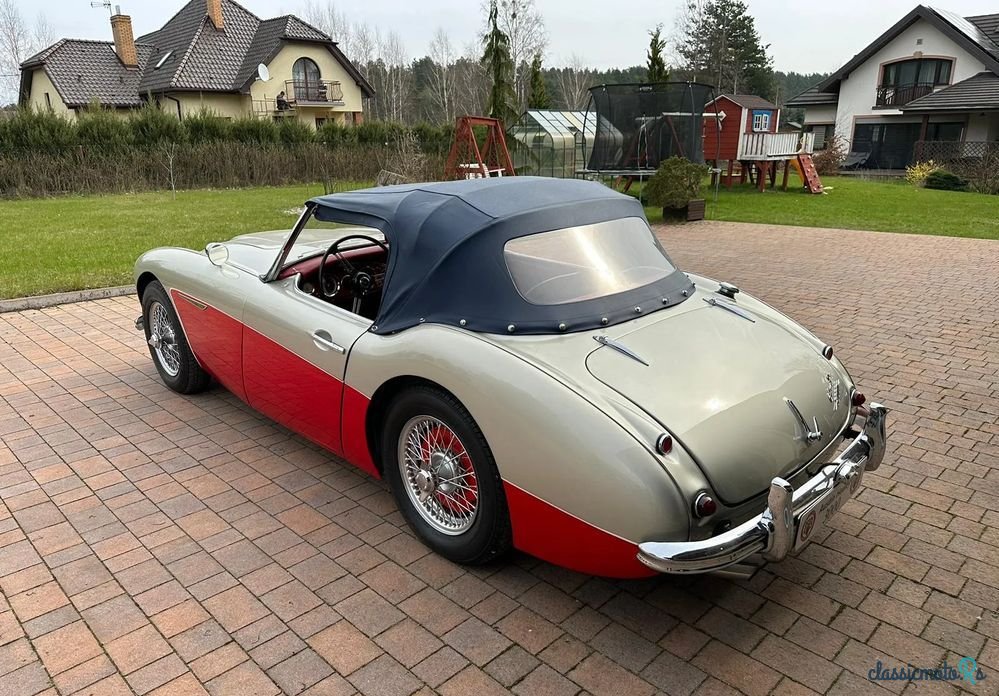1960' Austin Healey photo #5