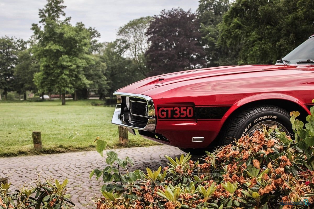1969' Ford Shelby Cobra photo #3