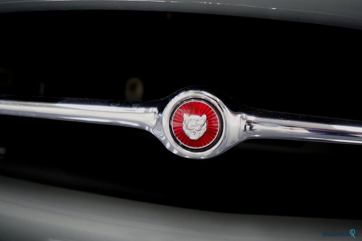 1963' Jaguar E-Type photo #6