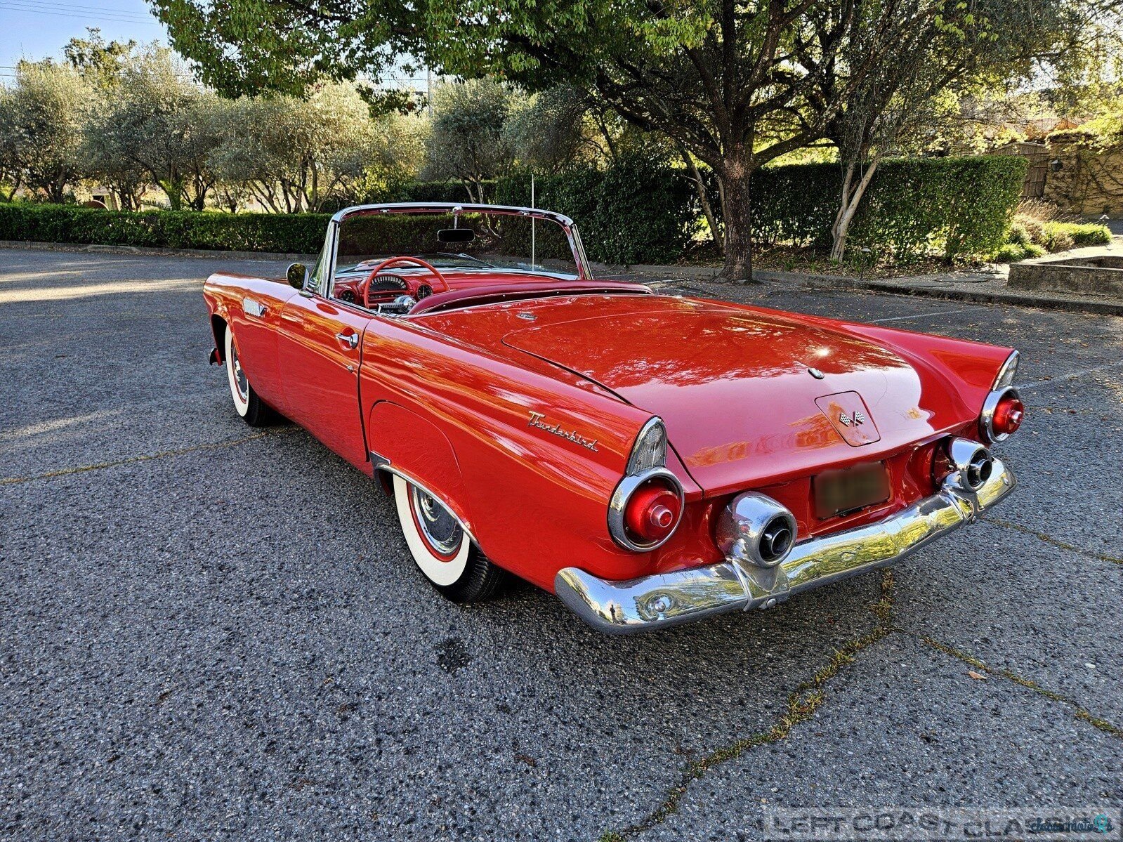 1955' Ford Thunderbird photo #5