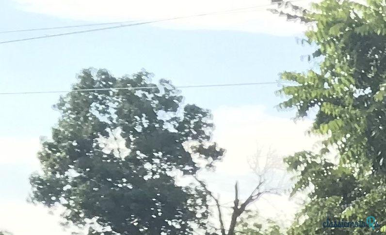 1957' Chevrolet 210 photo #2