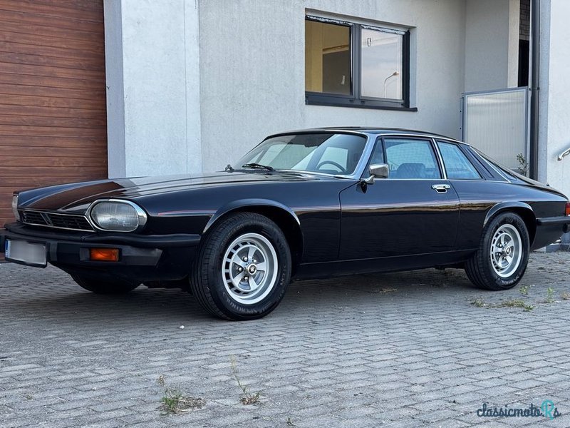 1976' Jaguar XJS photo #4