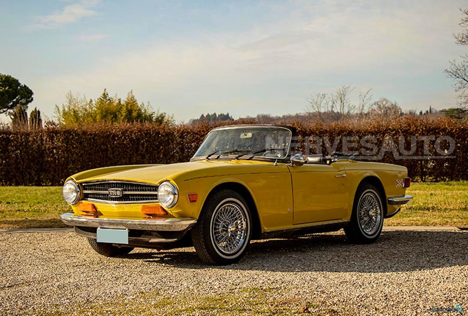1974' Triumph TR6 photo #1