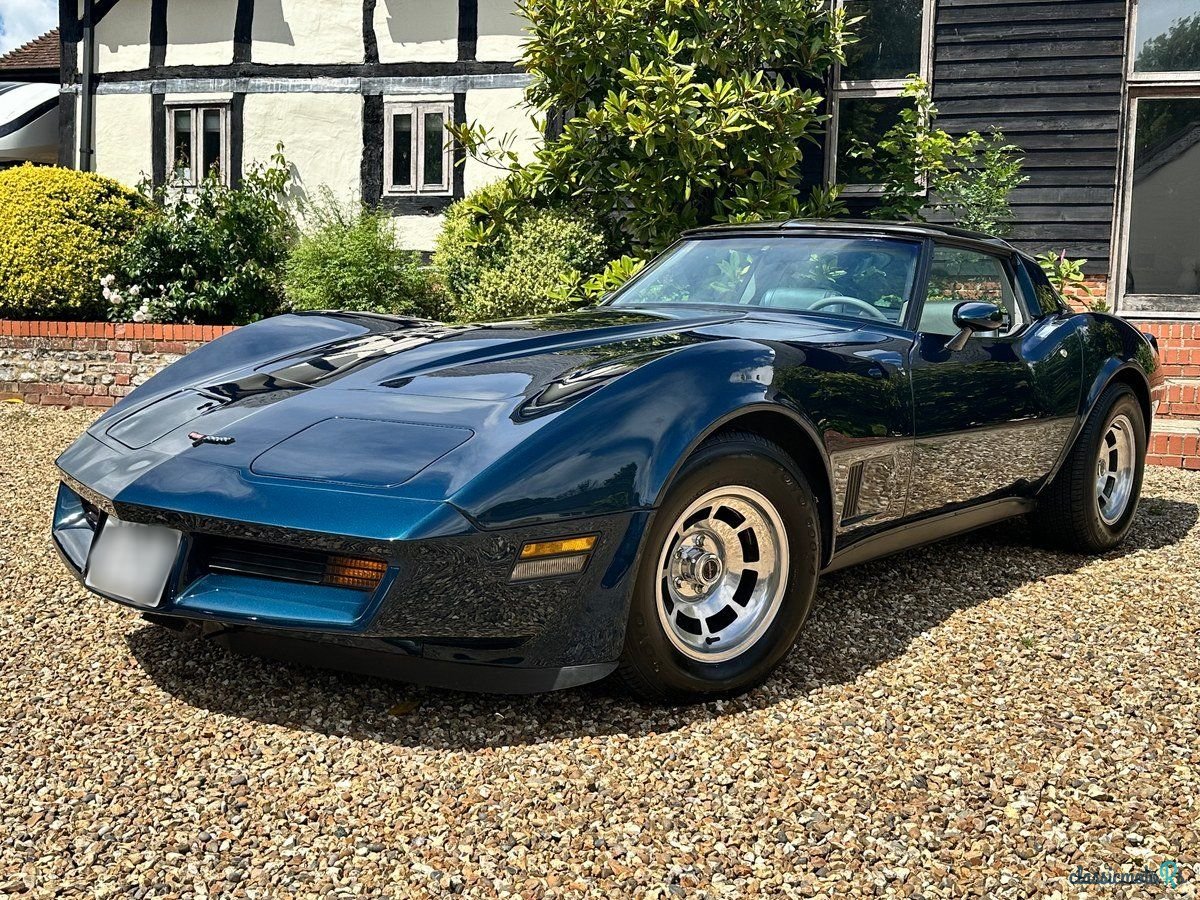 1981' Chevrolet Corvette photo #1