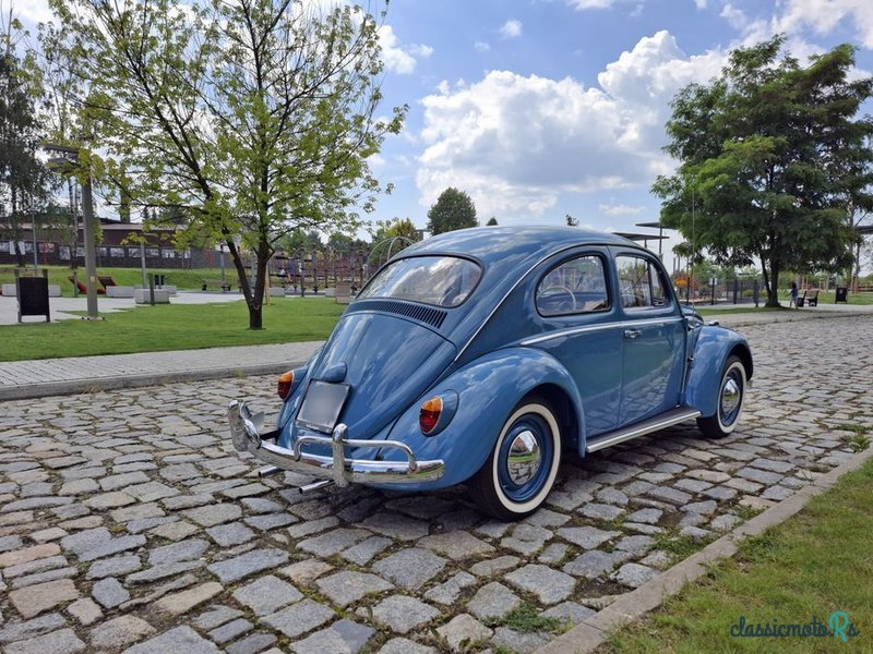 1960' Volkswagen Garbus photo #3