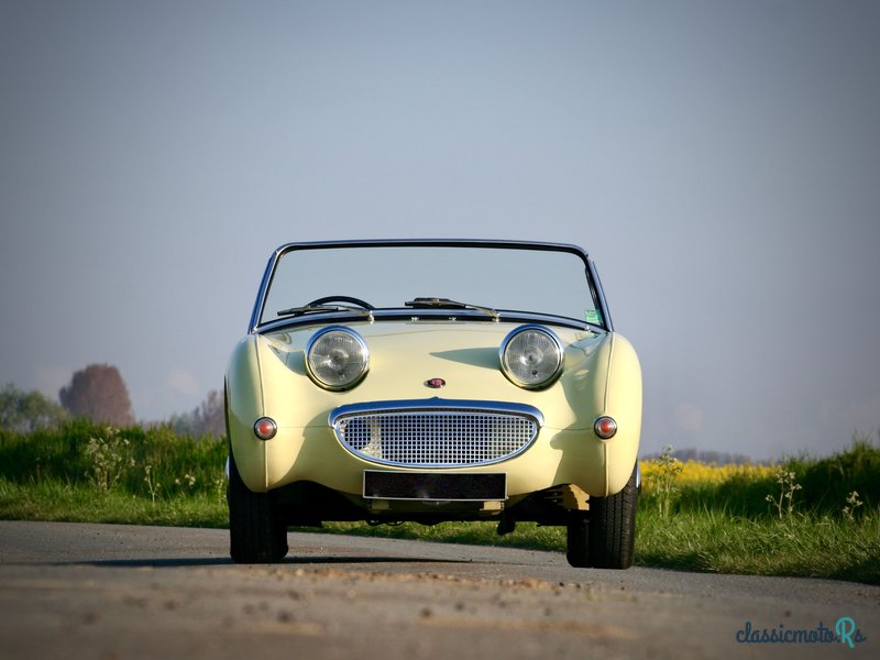 1960' Austin-Healey Frogeye photo #3