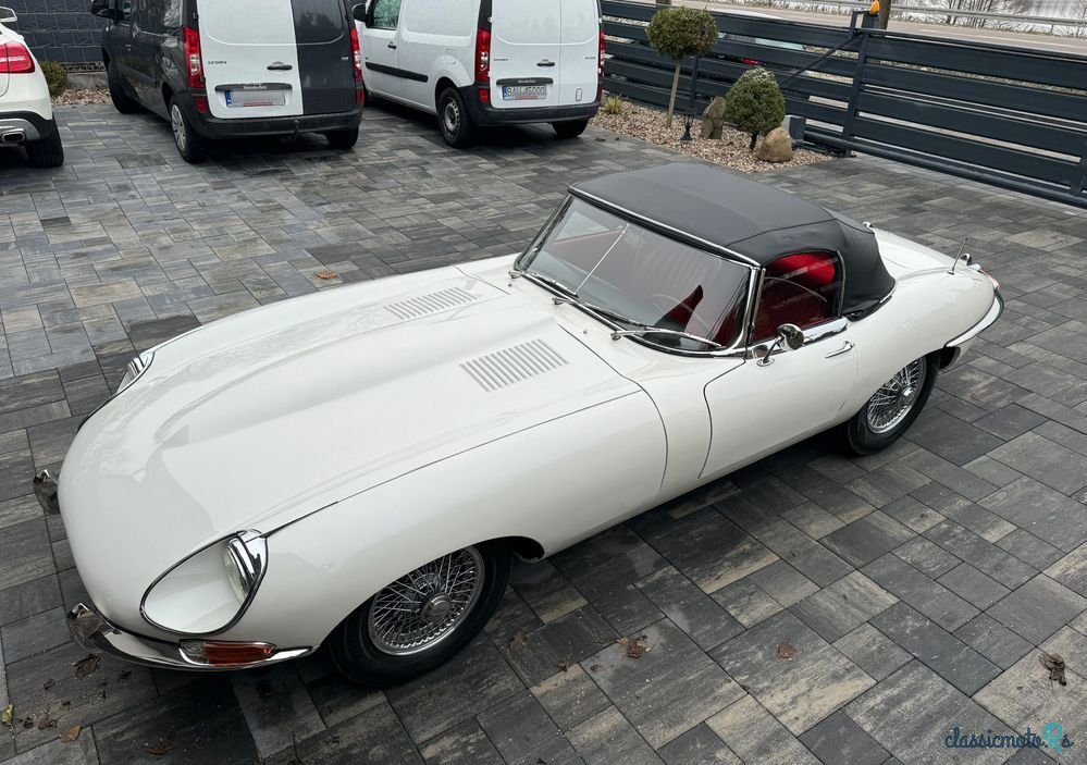 1968' Jaguar E-Type photo #4