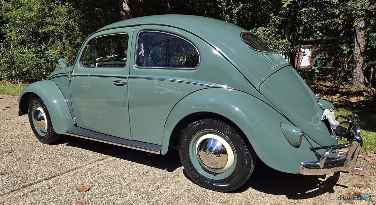 1956' Volkswagen Beetle photo #2
