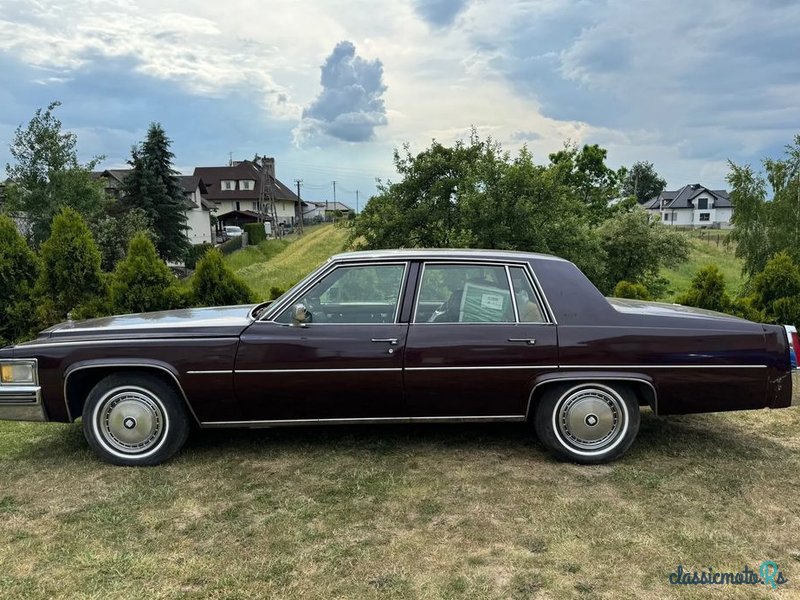 1977' Cadillac Deville photo #6