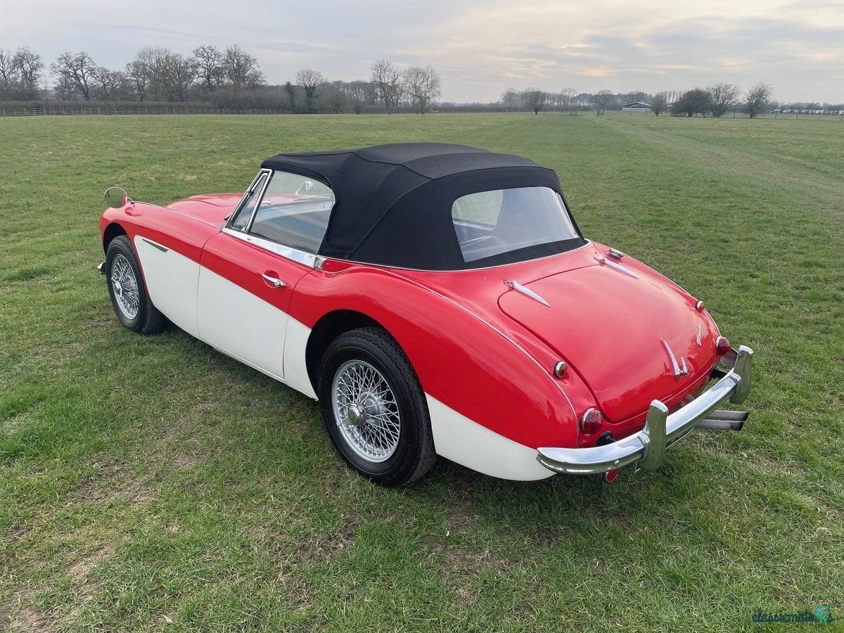 1965' Austin-Healey 3000 photo #2