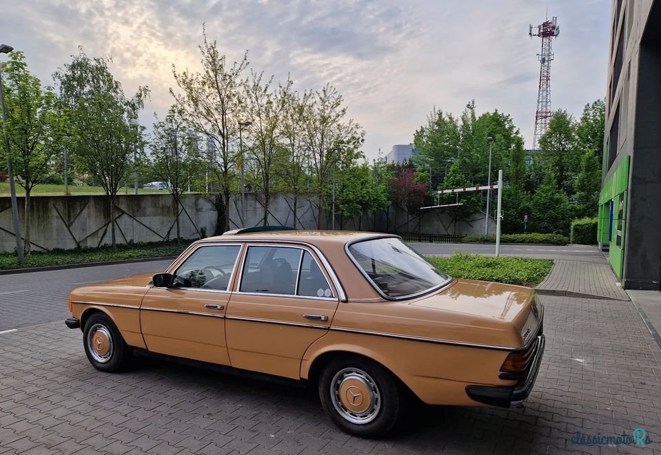 1977' Mercedes-Benz W123 photo #6