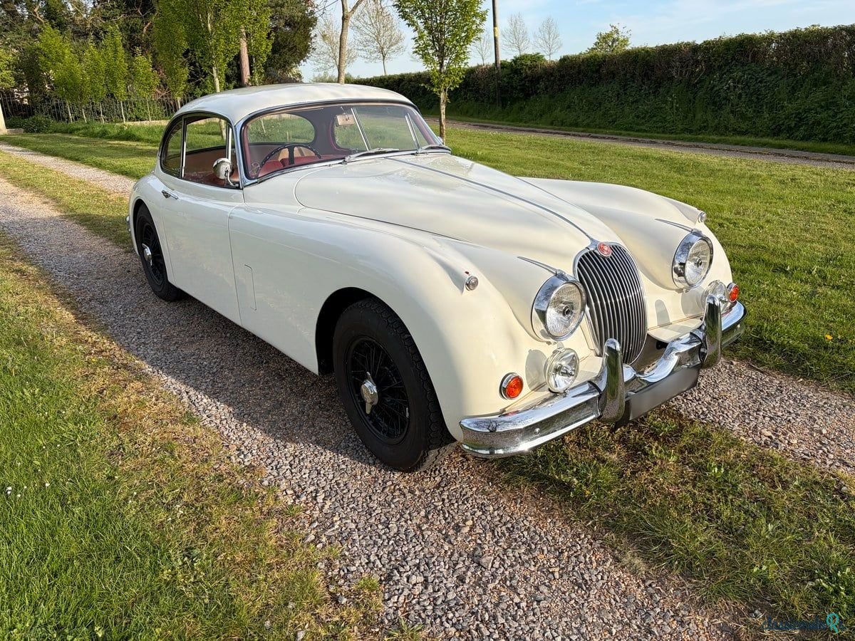 1959' Jaguar Xk150 photo #4