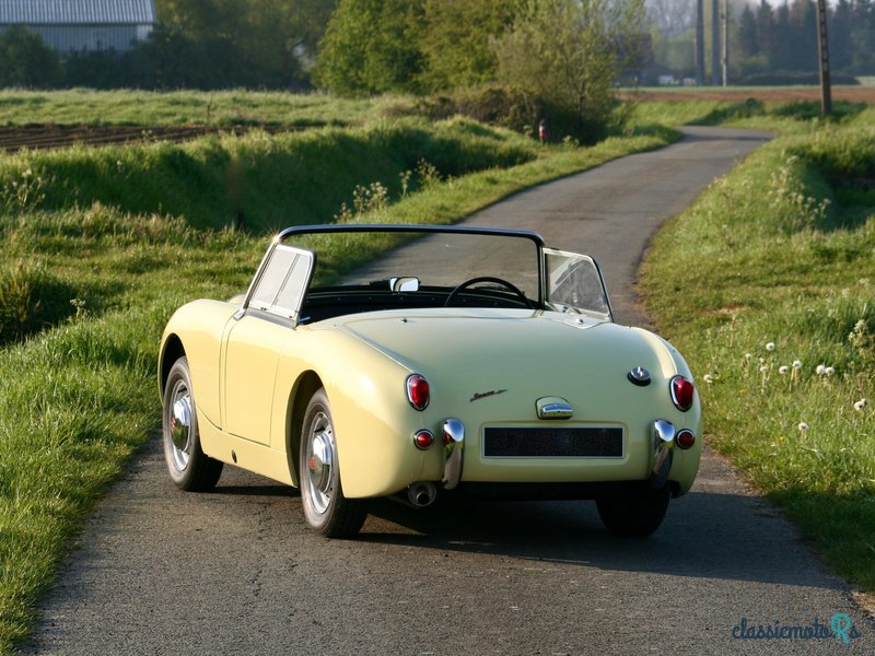 1960' Austin-Healey Frogeye photo #2