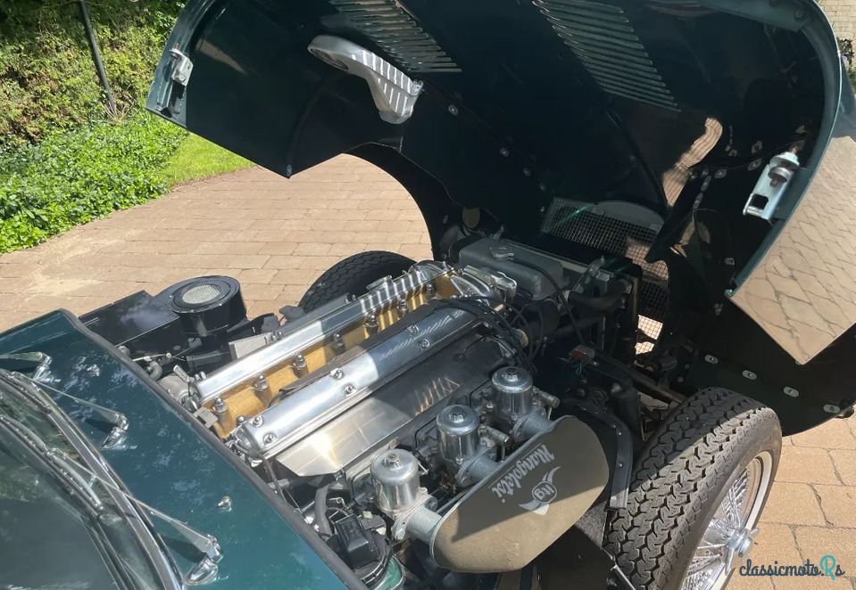 1966' Jaguar E-Type photo #4