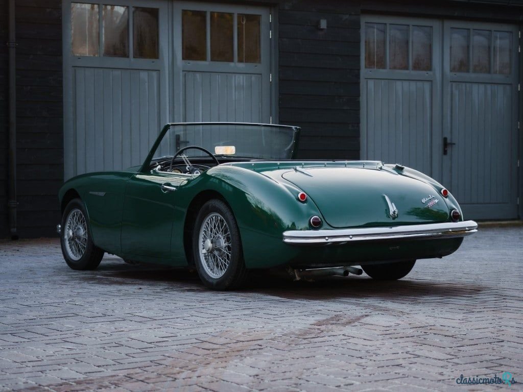 1960' Austin-Healey 3000 photo #4