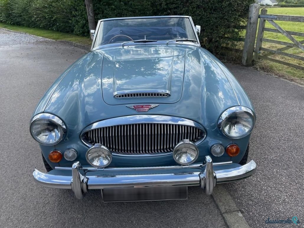 1965' Austin-Healey 3000 photo #3