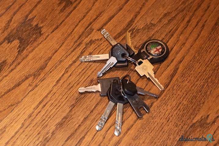 1982' Alfa Romeo GTV photo #6