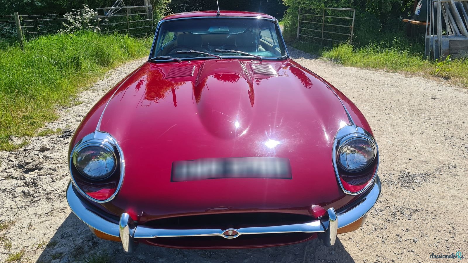 1969' Jaguar E-Type photo #6