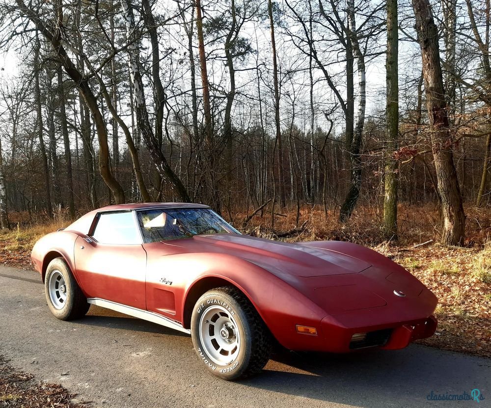 1976' Chevrolet Corvette photo #1