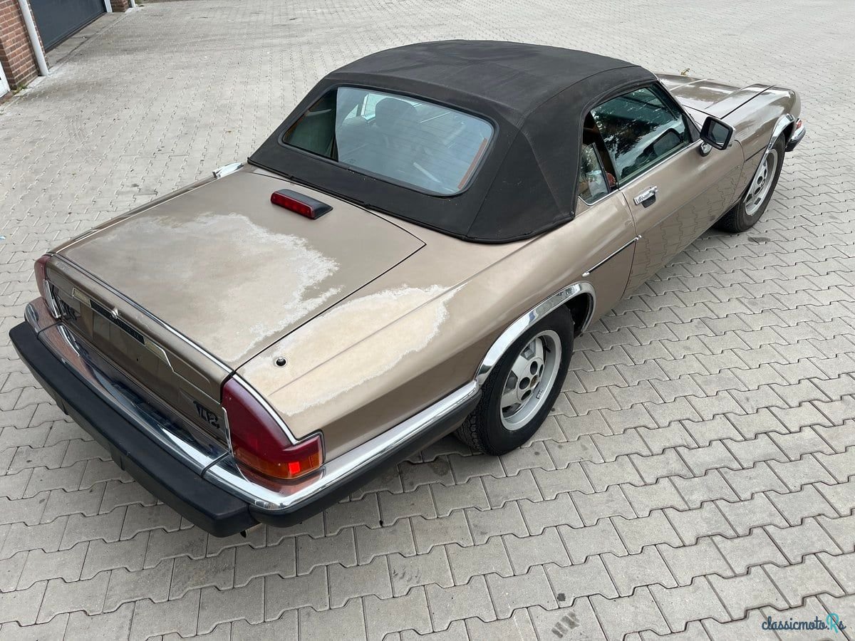 1989' Jaguar XJS photo #5