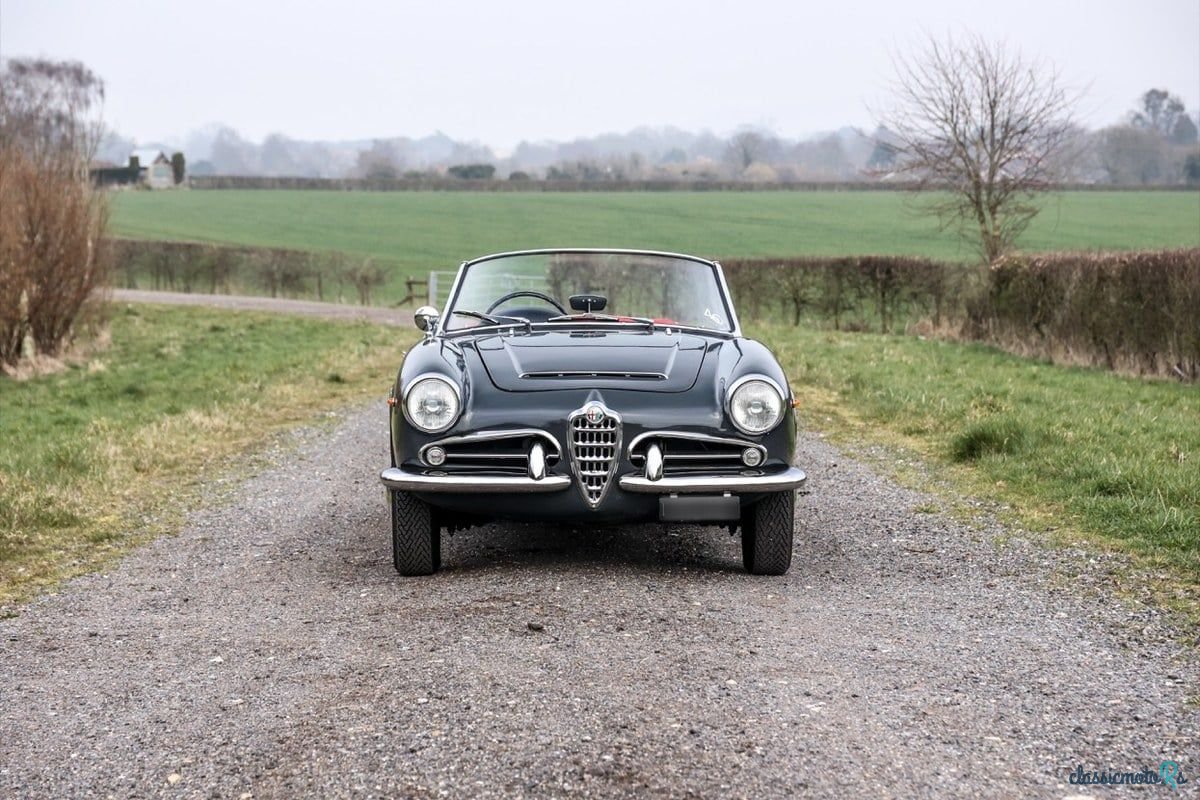 1963' Alfa Romeo Spider photo #4