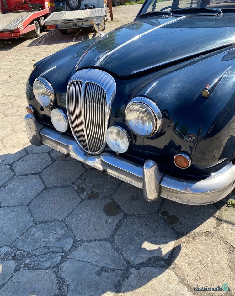 1967' Jaguar Daimler photo #3