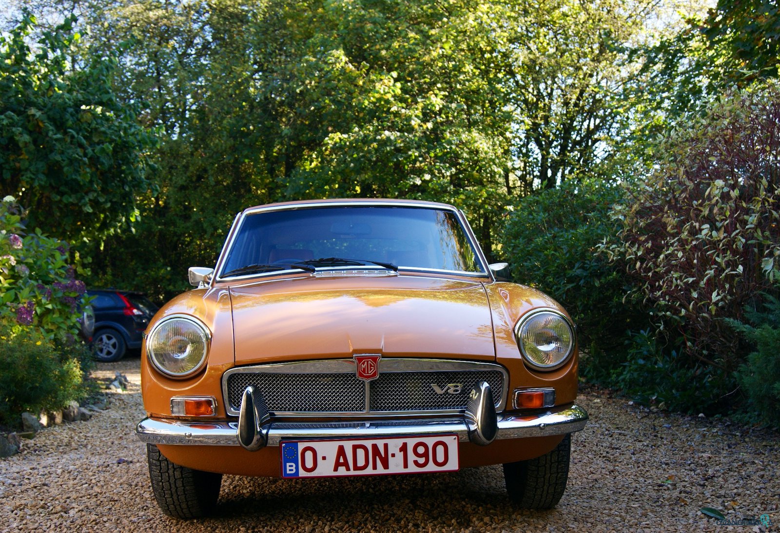 1974' MG B Gt V8 photo #2