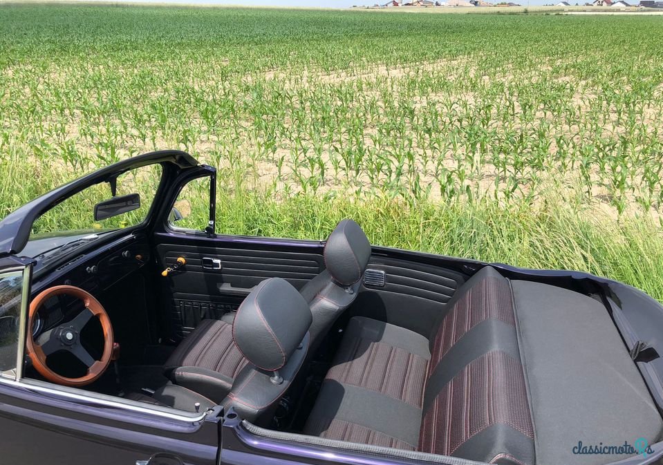 1967' Volkswagen Garbus photo #4