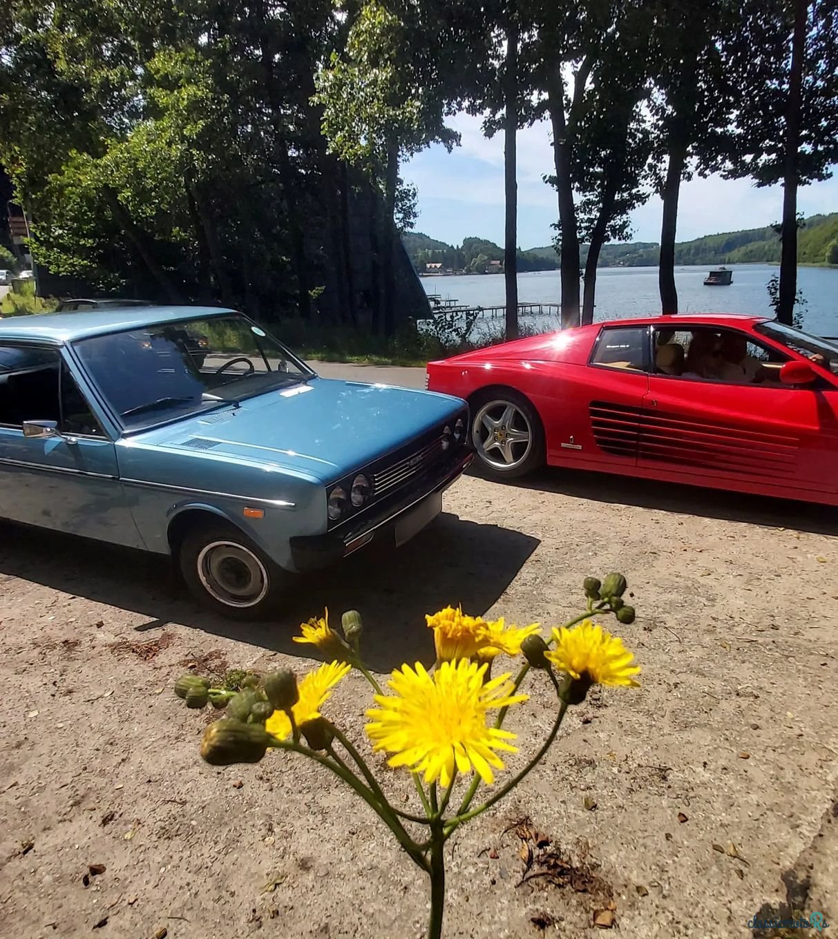 1977' Fiat 131 photo #6