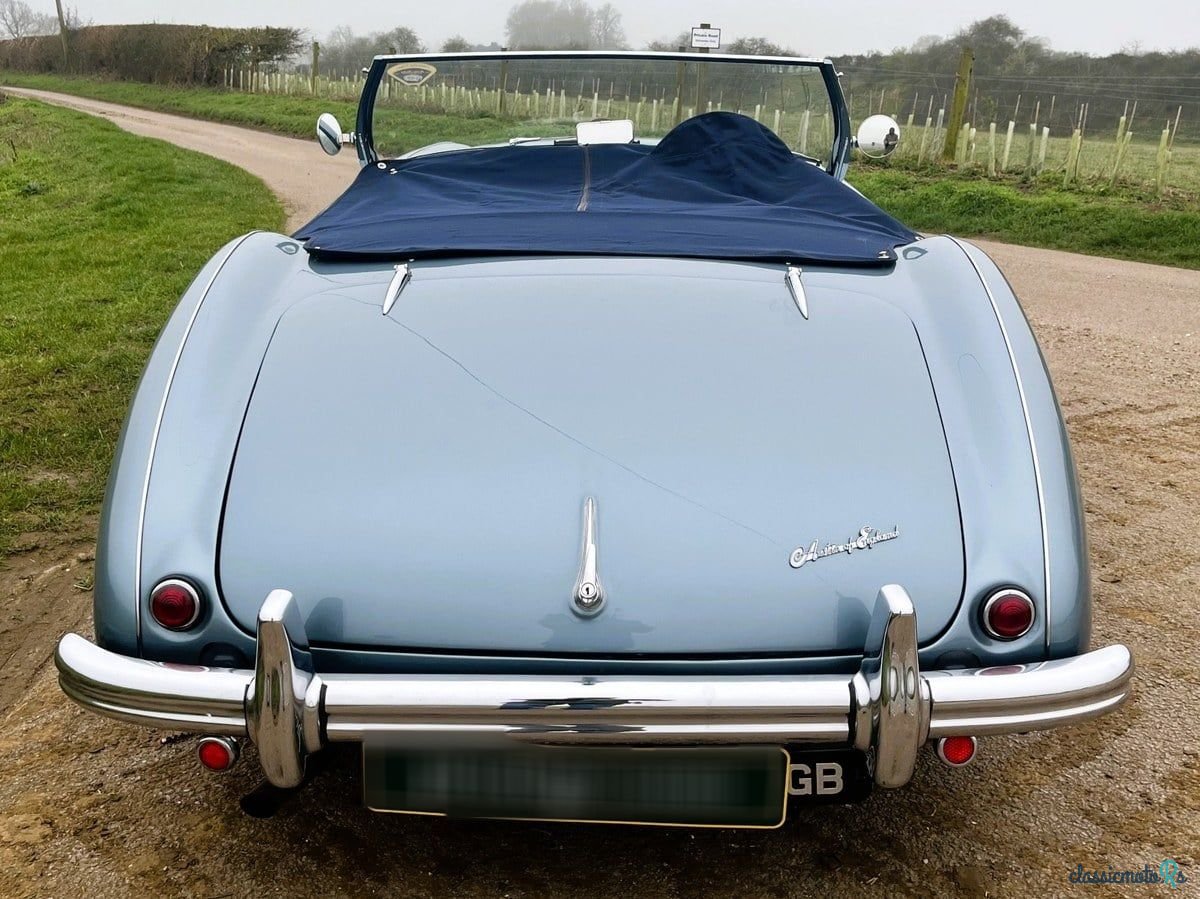 1954' Austin-Healey Bn1-100 photo #6