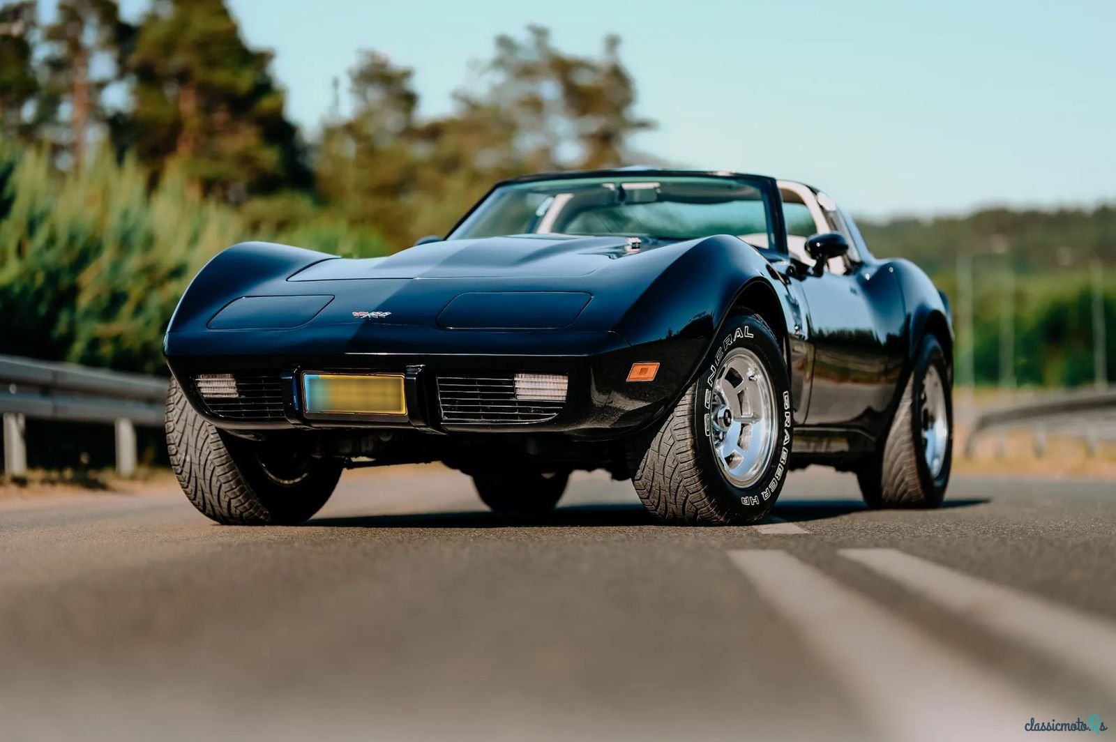 1979' Chevrolet Corvette photo #4