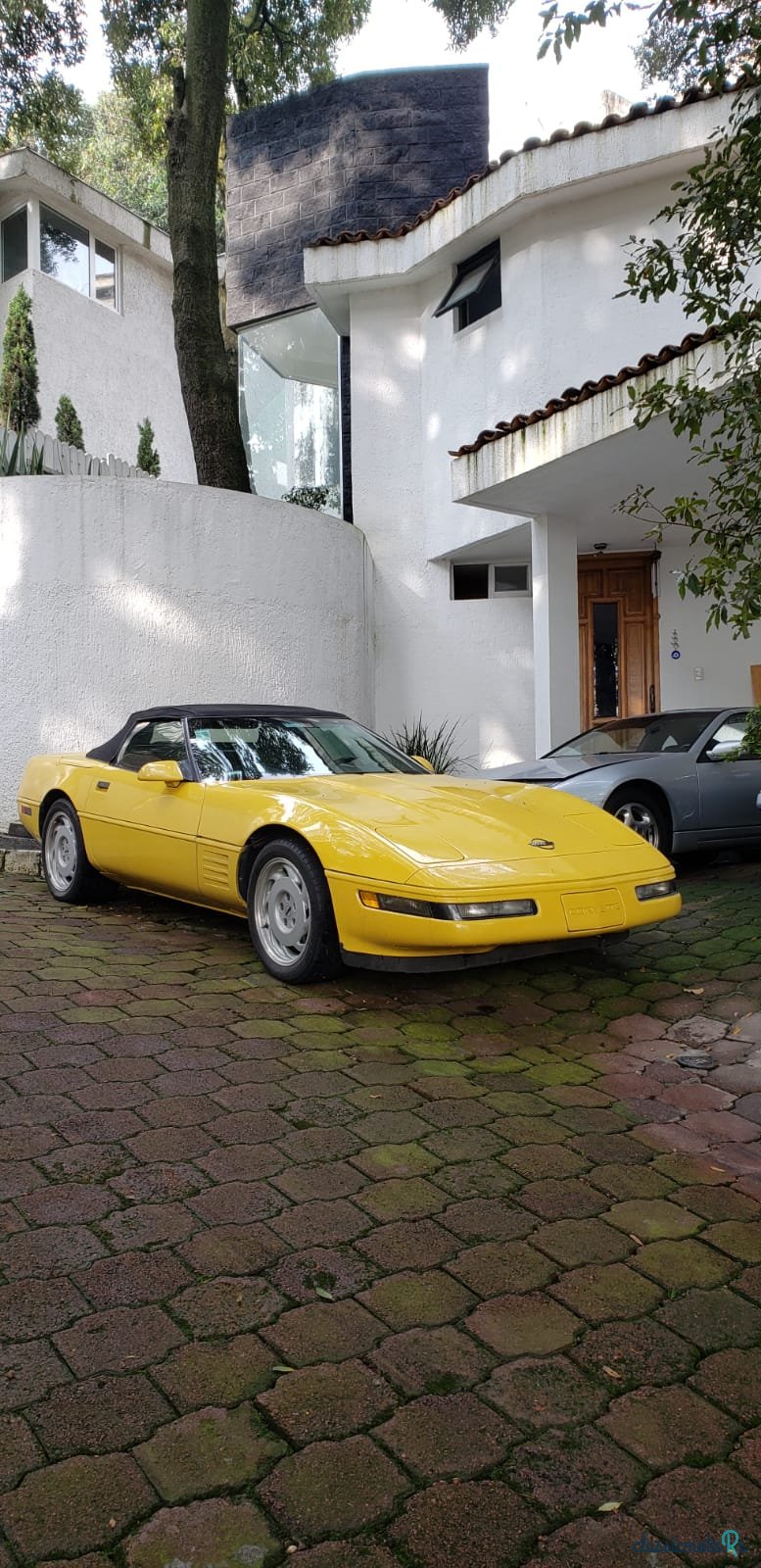 1992' Chevrolet Corvette C4 photo #3