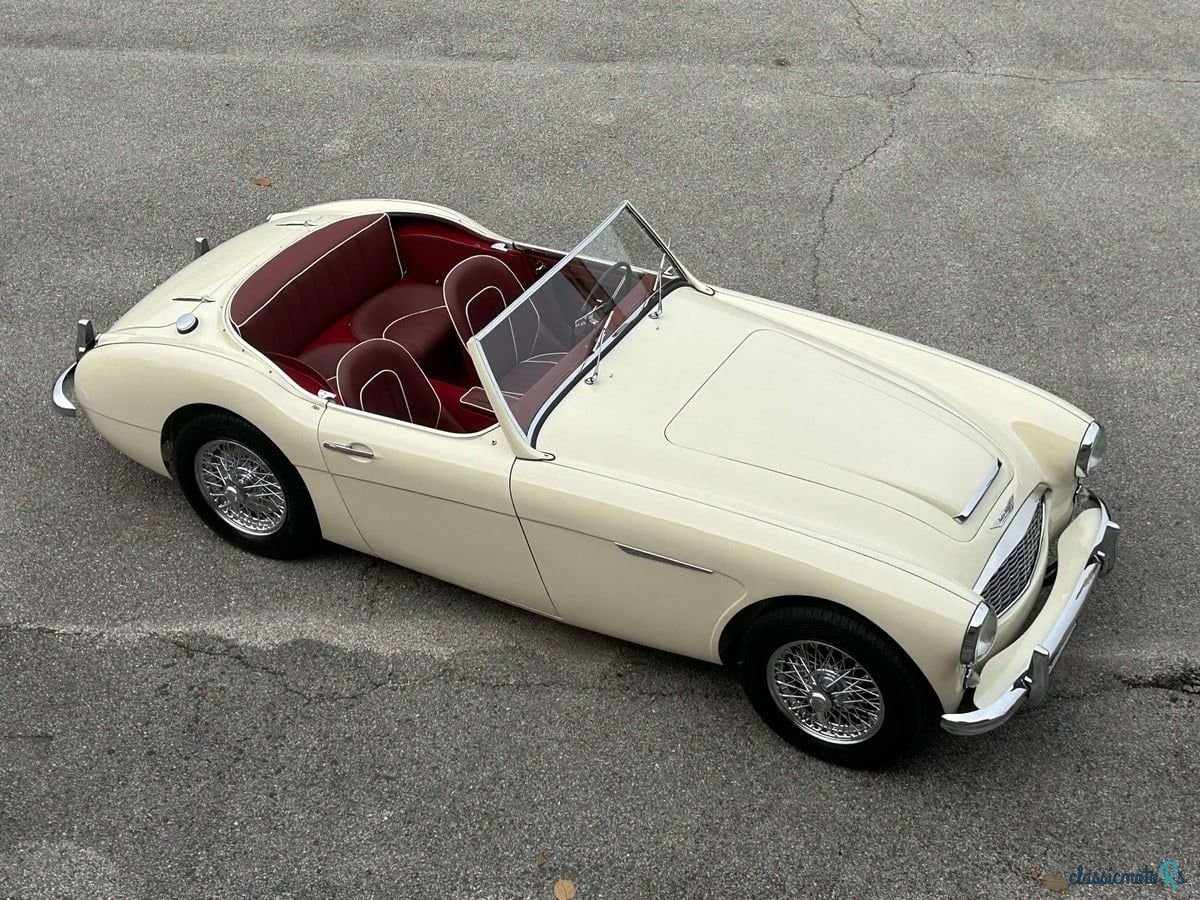 1960' Austin-Healey 3000 photo #4