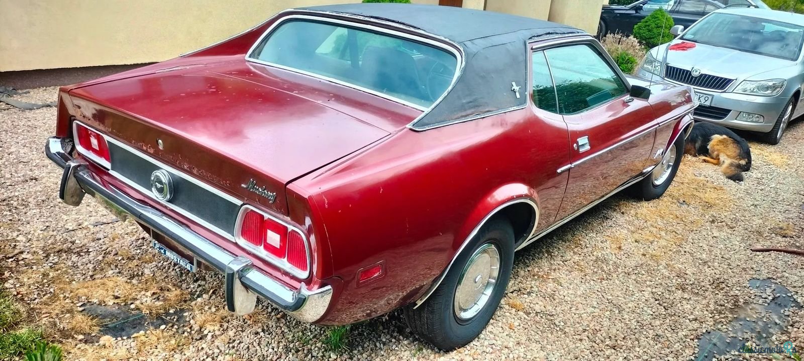 1973' Ford Mustang photo #5