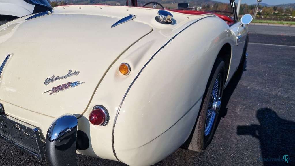 1962' Austin-Healey photo #6