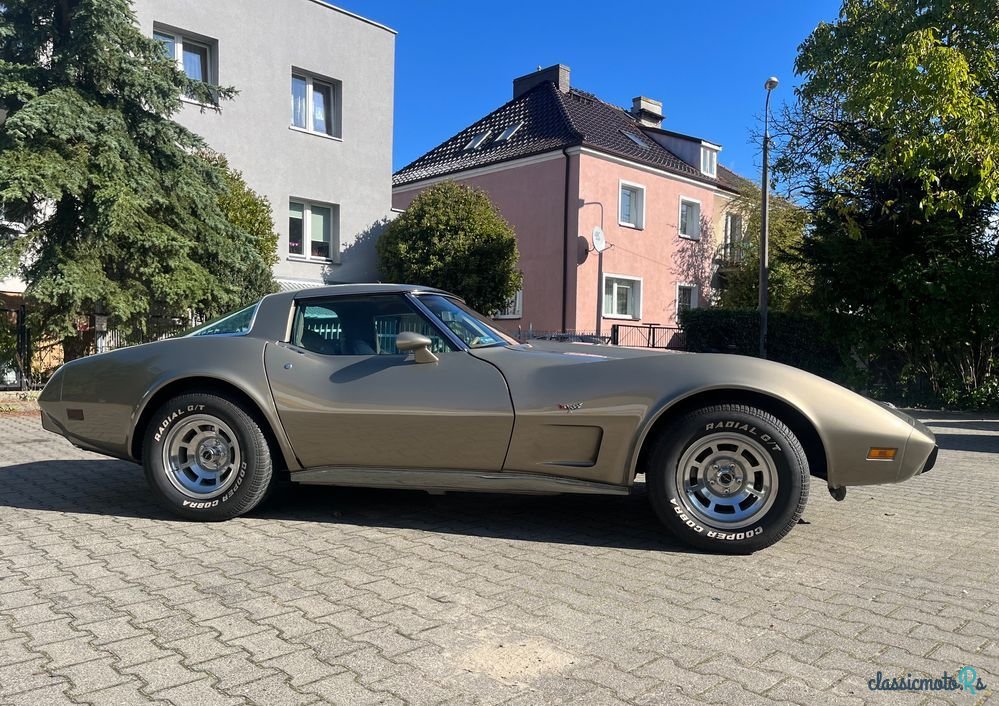 1978' Chevrolet Corvette photo #5