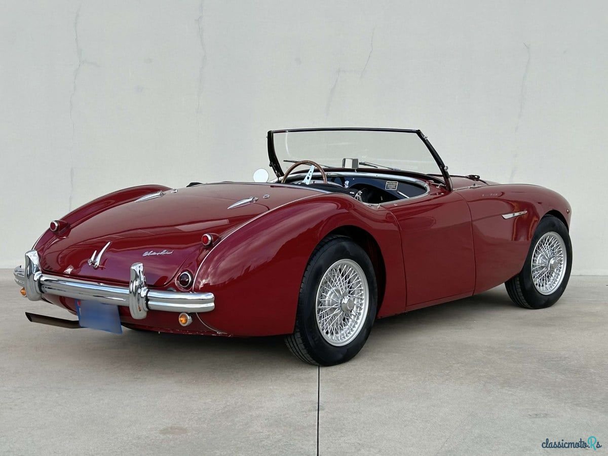 1954' Austin-Healey 100 photo #2