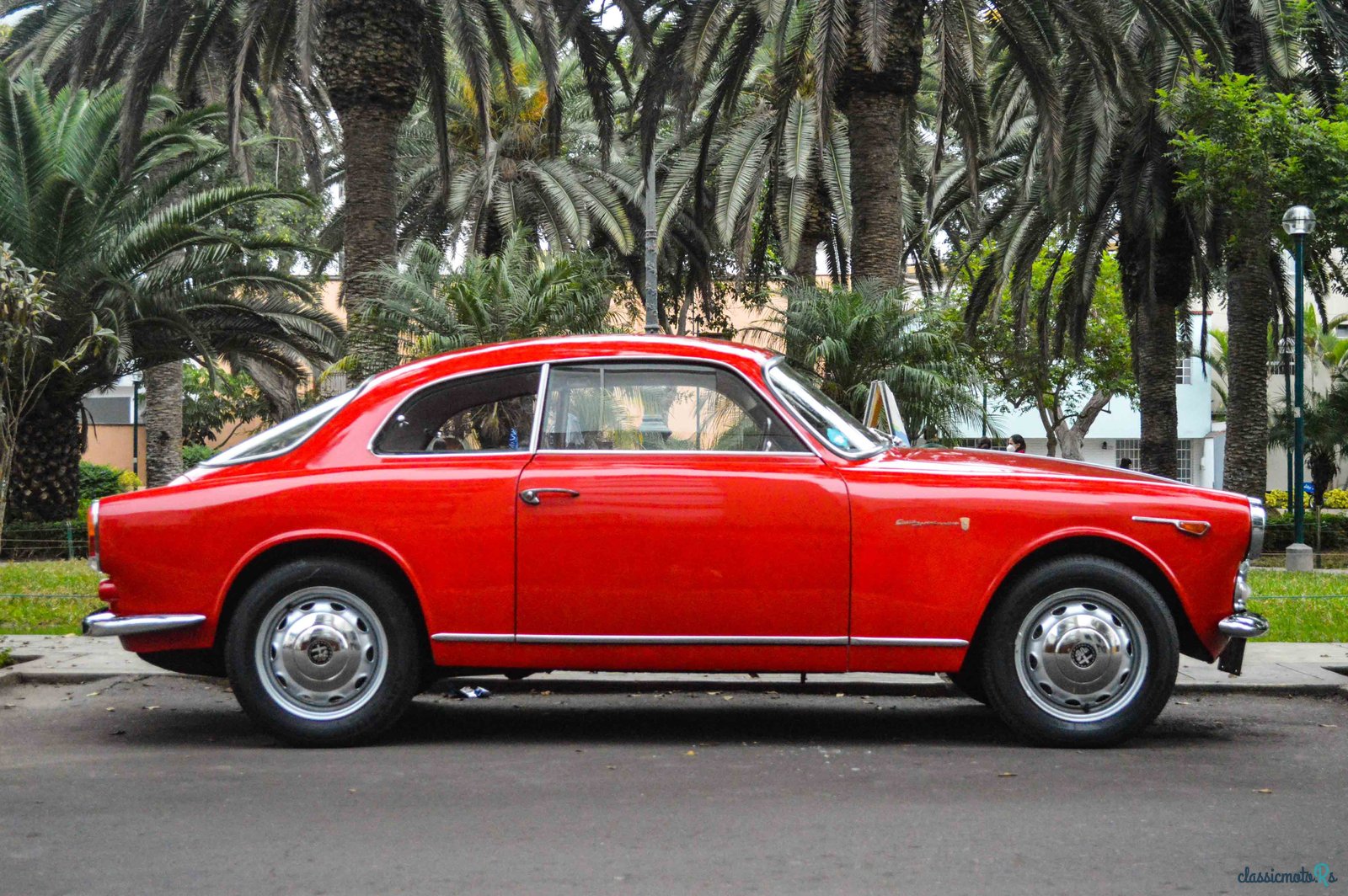 1961' Alfa Romeo Giulietta photo #2
