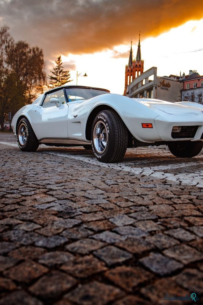 1977' Chevrolet Corvette photo #1