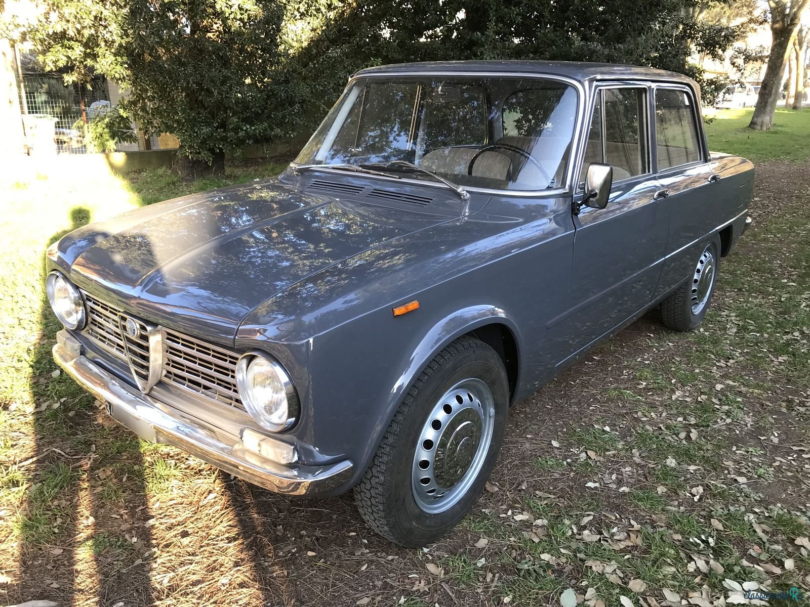 1964' Alfa Romeo Giulia photo #3