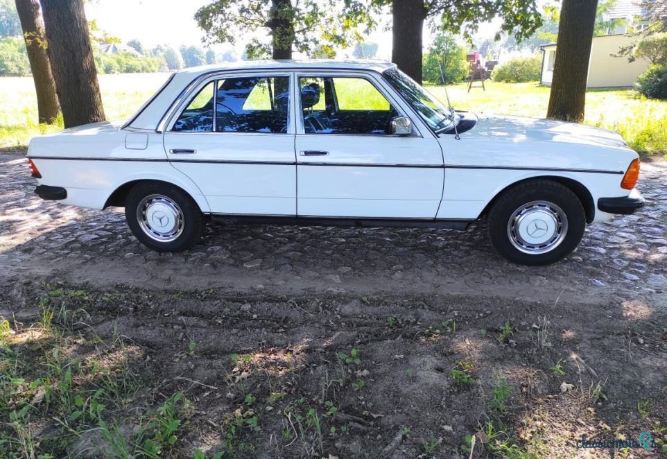 1979' Mercedes-Benz W123 photo #4