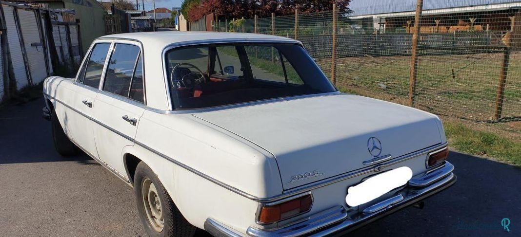 1965' Mercedes-Benz 250 photo #3