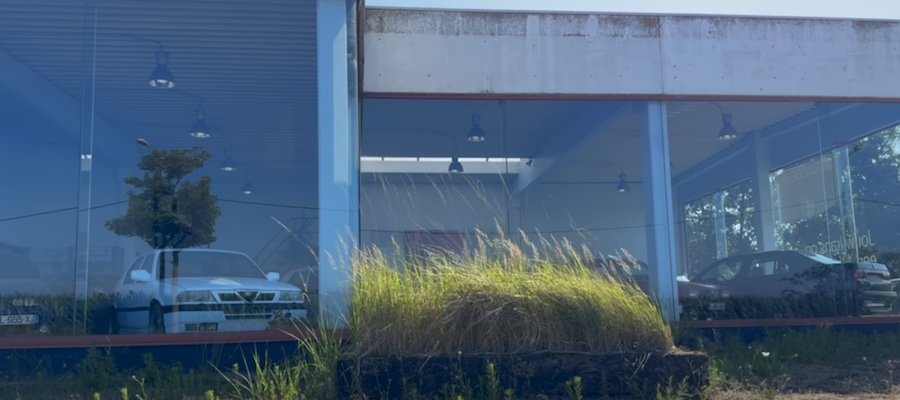 This Abandoned Alfa Romeo Dealer Hides a Treasure Trove of Iconic Cars