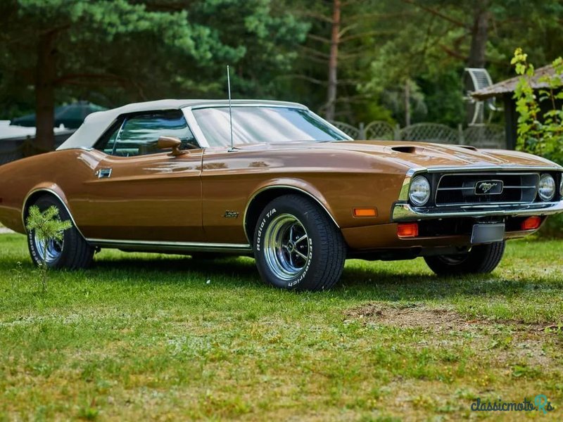 1971' Ford Mustang photo #4