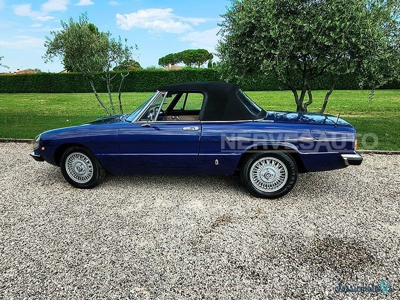 1974' Alfa Romeo Spider Duetto photo #5