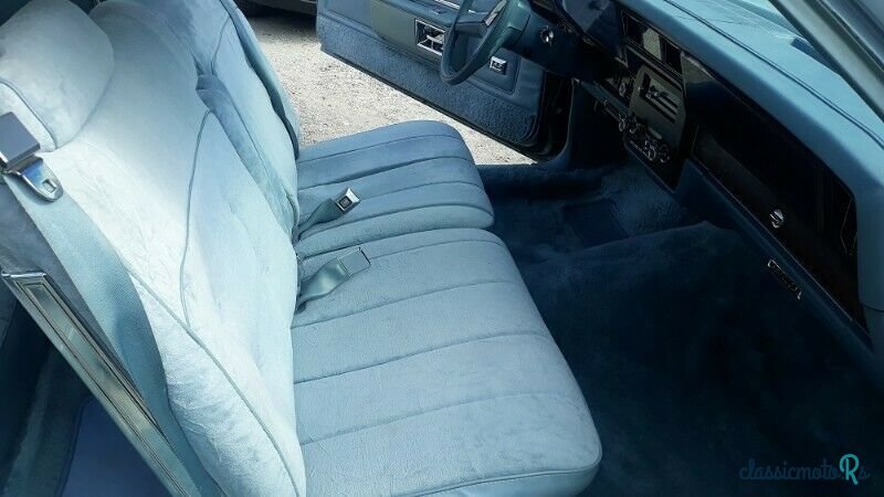 1979' Chevrolet Caprice photo #6