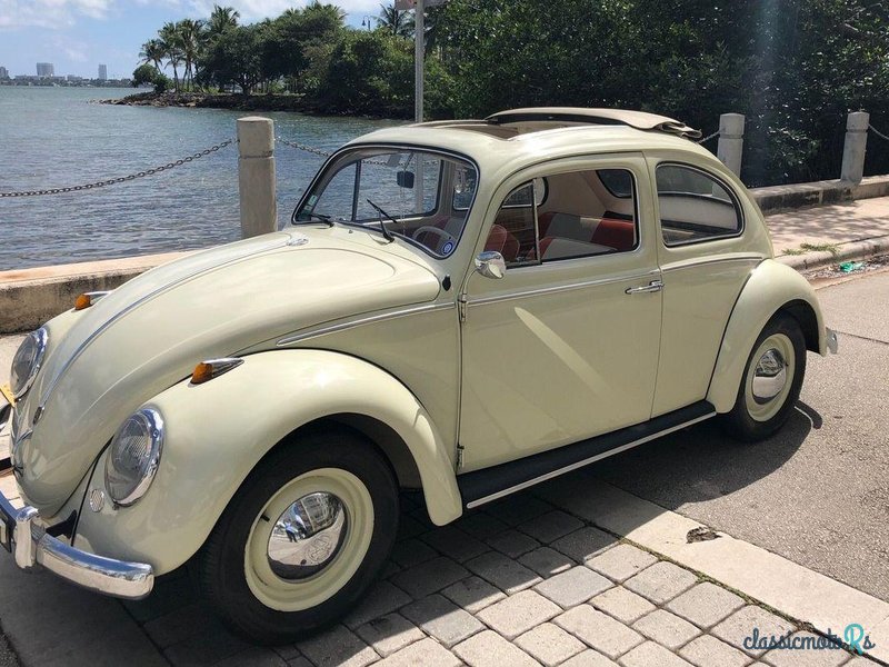 1961' Volkswagen Beetle photo #4