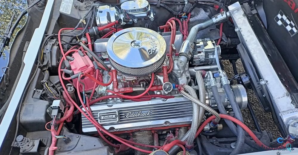 1979' Chevrolet Corvette photo #1