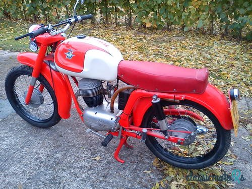 1955' MV Agusta photo #1